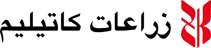 arapça-logo